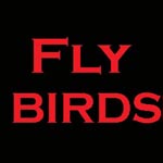 FLY BIRDS
